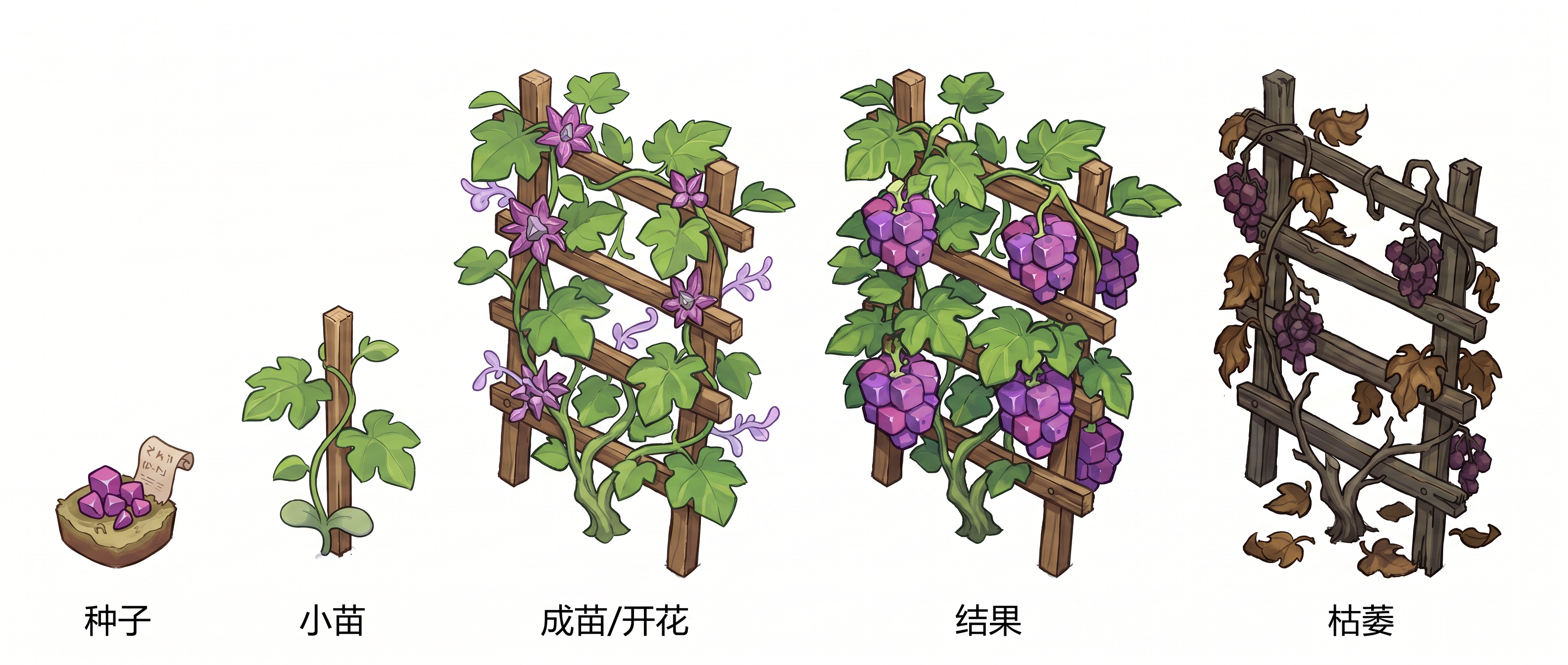 图片预览