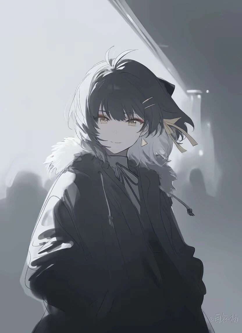 作者头像