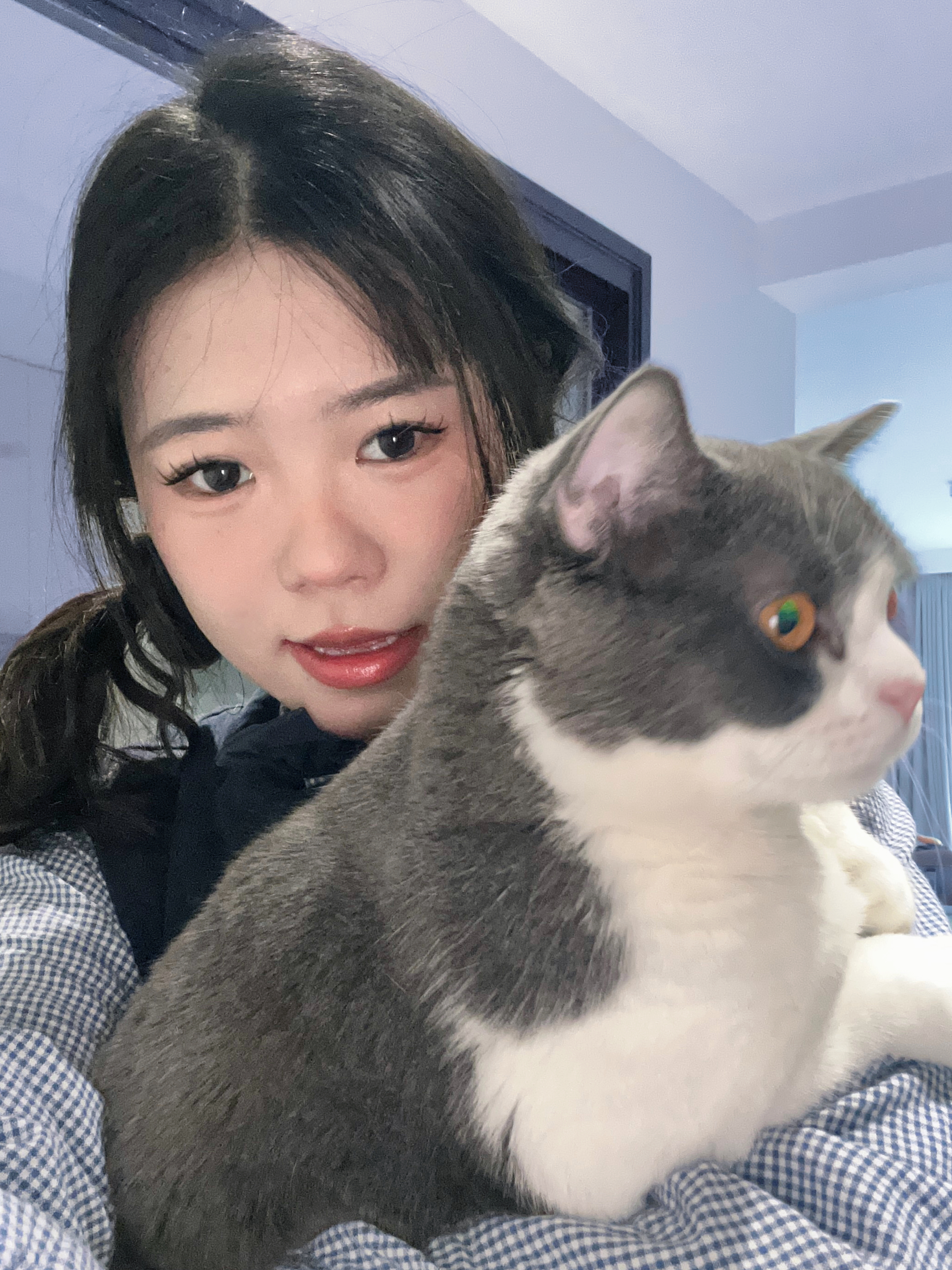 作者头像